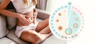 Leia mais sobre o artigo Ciclo Menstrual e Autoconhecimento