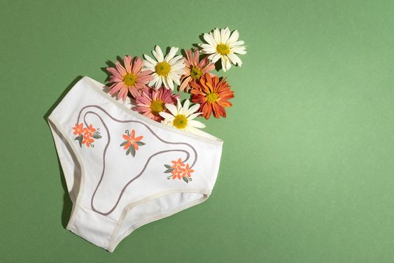 Você está visualizando atualmente Conexão saúde: como o sistema urinário, digestivo e reprodutivo trabalham no corpo feminino